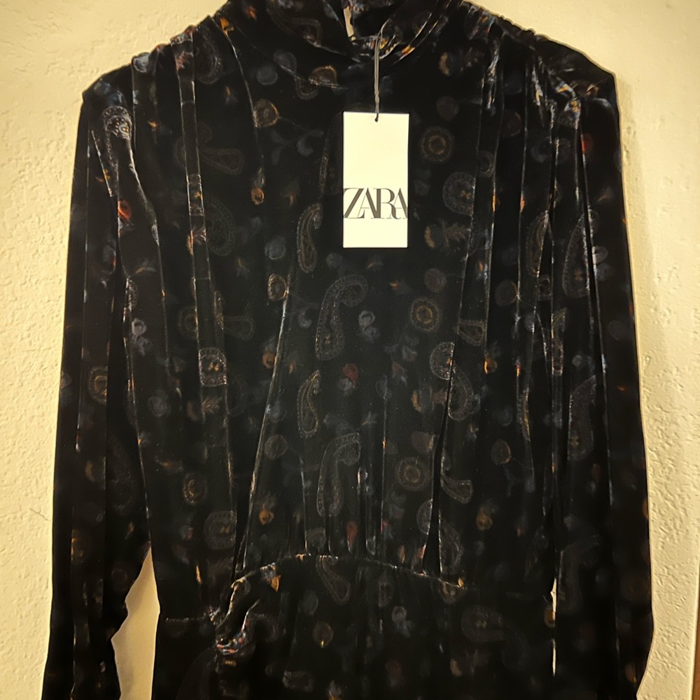 NWT ZARA Paisley Velour Dress